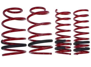Spring Manufacturer
